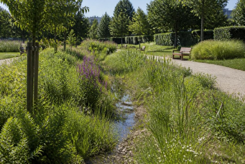 découvrez les noues végétalisées et paysagères : leur définition, leur rôle écologique et leur utilisation pour un aménagement durable et esthétique des espaces extérieurs.